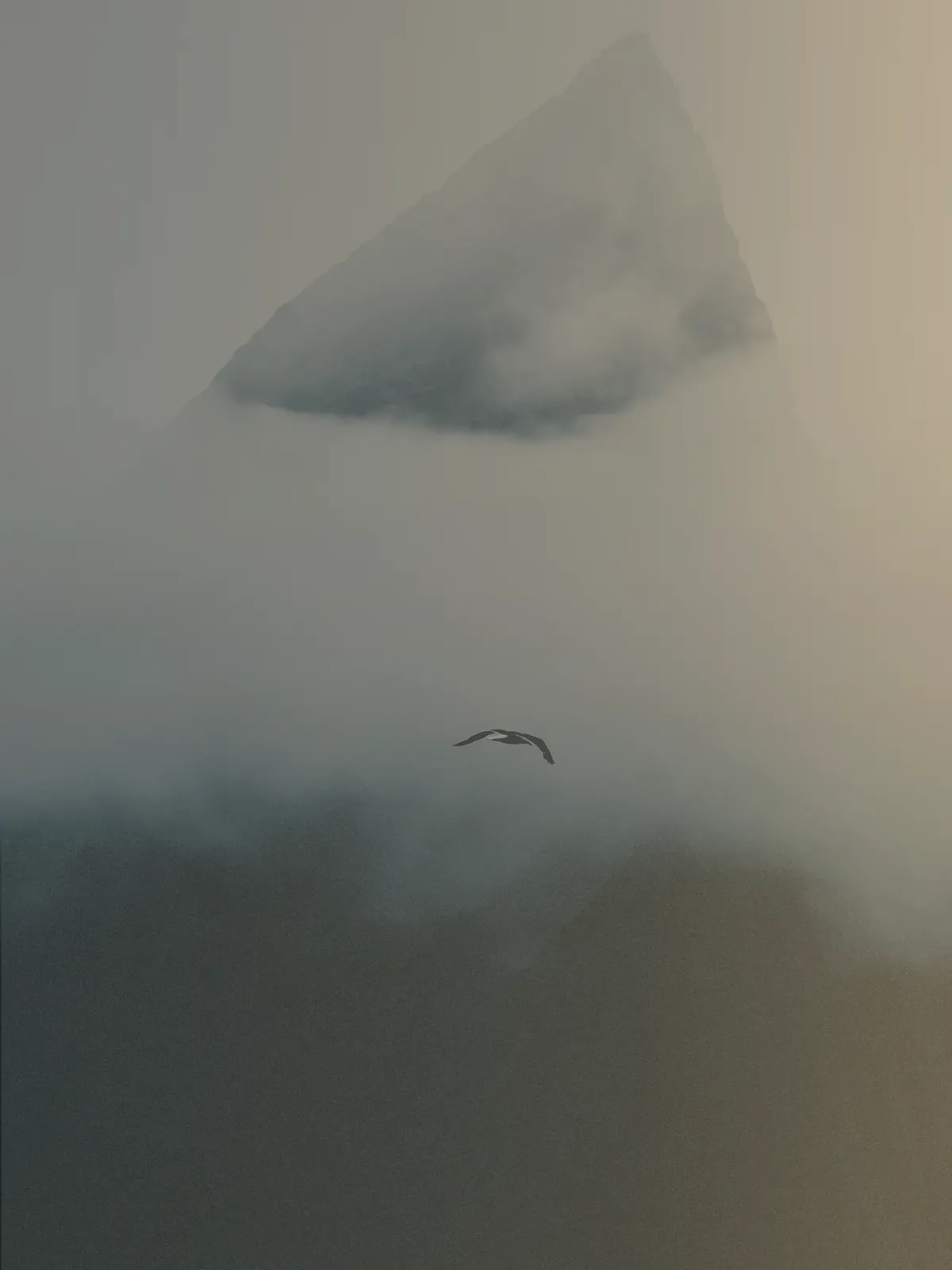 A mountain emerging through mist with a bird in flight, suggesting freedom and spiritual growth